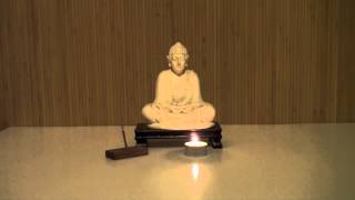 Zazen Sitting Meditation  20 Minutes [upl. by Flore]