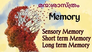 Memory Types of MemoryStage Model of Memory Richard AtkinsonShiffrinIGNOU Psychology [upl. by Tnarb]