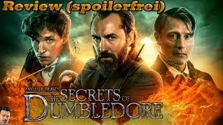 Phantastische Tierwesen 3 Dumbledores Geheimnisse Review spoilerfrei [upl. by Ojiram]