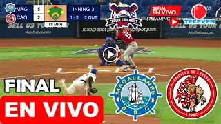 Magallanes vs Criollos de Caguas EN VIVO hoy FINAL de Choque de Gigantes Miami 2024 donde ver LIVE [upl. by On]