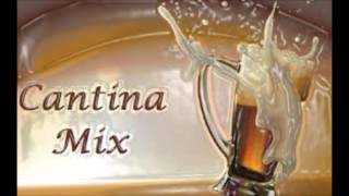 CANTINA MIX 2 DJCHAPINBOY IN THE MIX [upl. by Anaeerb]