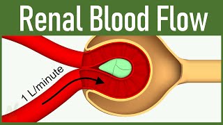 06 Renal Blood Flow [upl. by Redwine]