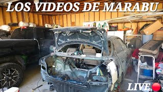 🔴 LOS VIDEOS DE MARABU ESTA EN VIVO 🔴 [upl. by Stauffer]