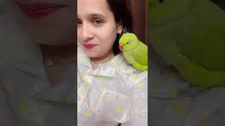 Parrot video 🦜🦜parrotparrot parroting parrottalking shortfeed youtubeshorts talkingparrot [upl. by Warford]