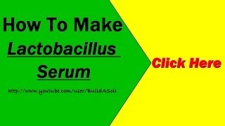 DIY Lactobacillus Serum Video tutorial and instructions [upl. by Blase]