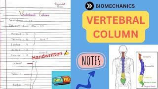 VERTEBRAL COLUMN NOTES📚 BIOMECHANICS Physiotherapy 2nd Yr💥 [upl. by Mabel]