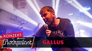 Gallus live  Eurosonic Festival 2023  Rockpalast [upl. by Kerad349]