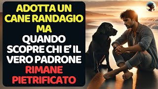 Trova un Cane e Decide di Adottarloma Quando Scopre chi è il Vero Padre rimane Scioccato [upl. by Cecilia295]