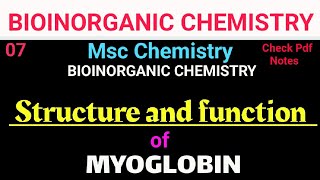 Structure and function of Myoglobin mscchemistrynotes bscchemistry itschemistrytime [upl. by Sachiko]