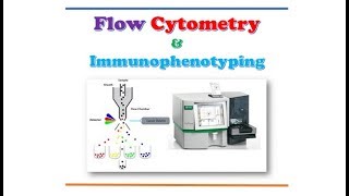 Flow Cytometry and Immunophenotyping [upl. by Ynagoham]