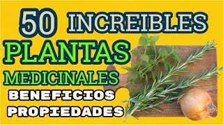 Las Mejores 50 PLANTAS Medicinales Sus Beneficios y Propiedades [upl. by Federica]