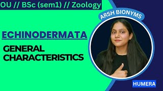 ECHINODERMATA  GENERAL CHARACTERISTICS  BSc ZOOLOGY  Osmania University  humera [upl. by Gulick]