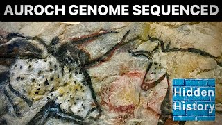 Ancient Mesolithic auroch DNA sequenced [upl. by Euqina]