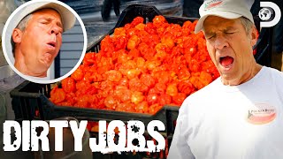 World’s Hottest Pepper Mike Rowe Battles Carolina Reaper Seeds  Dirty Jobs [upl. by Kcod]