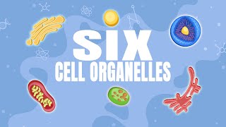 Grade10 Six Cell organelles [upl. by Ahsekar]