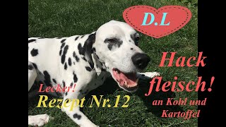 Kochen für den HundHundefutter selber machenHackfleischKohl und KartoffelRezept Nr12 uNr13 [upl. by Rudman226]