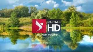 DigitAlb HD  Spring 2014 Ident [upl. by Mariam]