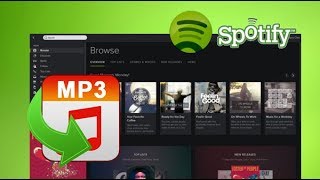 how to download music amp playlist from Spotify To mp3 [upl. by Ilowell595]