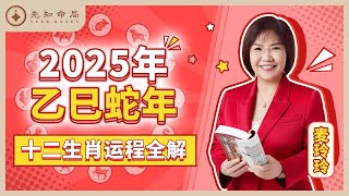 麦玲玲师傅详解2025蛇年运程：十二生肖完整版！事业运、财运、人际关系、爱情、婚姻、健康全解析！ [upl. by Kelwin]