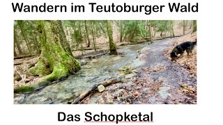 Wandern im Teutoburger Wald Das Schopketal ist ein besonderes Naturerlebnis [upl. by Garnet]