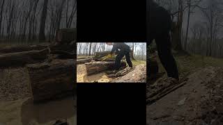 Preppin That Walnut chainsawmill nature trees relaxing outdoors tennessee [upl. by Ahsenit]