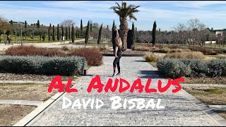 AL ANDALUS  David Bisbal  Zumba  Flamenco Fitness  Coreo  Zin Valentina Delgado [upl. by Allertse290]