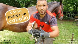 ► Como herrar un caballo 🐴 por los herradores Fernando Pérez Castañeda y Javier Buenaga [upl. by Avan]