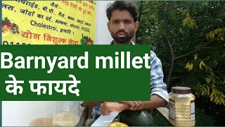 Barnyard millet benefits by Dr khadar vali ji  Barnyard millet ke fayde  Anmol Yadav [upl. by Ardeed832]