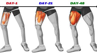 Best 5 Exercise for Strong Legs  Transform in 14 Days [upl. by Donovan]