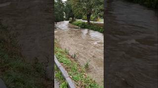 Hochwasser Lage aktuell angespannt Dauerregen Regen Starkregen Unwetter Überschwemmung jetzt Wien NÖ [upl. by Aihsiyt]