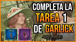 Hogwarts Legacy  COMPRA MANDRAGORA Y TENTACULA VENENOSA  TAREA 1 DE LA PROFESORA GARLICK  GUIA [upl. by Dnana865]