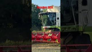 Dreschen 2024 Claas Lexion 780 Ernte claaslexion dreschen ernte mähdrescher lexion sommer [upl. by Ani108]