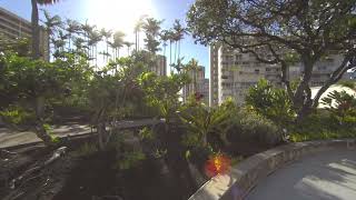 ViewPT Realia 8k 30fps Sample Footage  Hawaii Convention Center [upl. by Abraham]