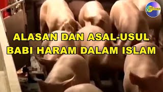 Alasan dan Asal Usul Babi Haram Dalam Islam [upl. by Akahc]