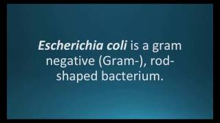 How to pronounce Escherichia coli E coli Pharmcabulary for Memorizing Pharmacology Flashcard [upl. by Micaela700]