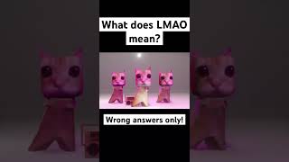 What does lmao mean but only wrong answers memes funny cat viral shorts [upl. by Ethelbert]