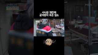 사나운 개한테 공격받아 죽어버린 염소 [upl. by Nylirek]