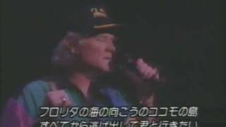 The Beach Boys  Kokomo Live in Japan 1991 [upl. by Colt]