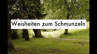 witzige Zitate amp lustige Sprüche  Weisheiten zum Schmunzeln [upl. by Laise]