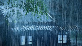 Sleep Sounds Rain No Thunder 🌧️ Relaxing Heavy Rain on Metal Roof  Rainstorm White Noise 10 Hours [upl. by Darill]