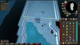 OSRS  Frozen Door  Zilyana Guide  Solo Ranged Method [upl. by Meghann383]