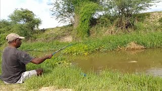 Fishing  Rohu fishing  Rohu fish amp Mrigal fish catch [upl. by Litnahc]