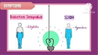 SIADH vs Diabetes Insipidus Hindi animation [upl. by Harp]