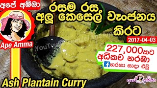 ✔ අලු කෙසෙල් වෑංජනය කිරට  Alu kesel kirata  Ash plantain curry recipe by Apé Amma [upl. by Ettenan]