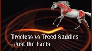 Treeless vs Treed Saddles  Just the Facts by Saddlefit 4 Life® [upl. by Lebatsirhc]