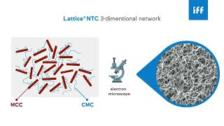 Lattice®  Avicel®  Powerful biodegradable binders stabilizers and suspending agent [upl. by Kohl307]