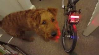 BROMPTON MOON LIGHTS Bike Cycling REVIEW Irish Terrier Akubra Brompton Girl [upl. by Rattan]