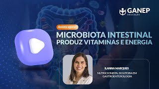 Microbiota intestinal produz vitaminas e energia [upl. by Gaelan560]