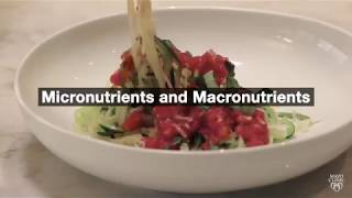 Mayo Clinic Minute The difference between micronutrients and macronutrients [upl. by Esinyl]