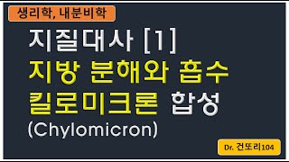 지질대사 1 지방의 소화 킬로미크론Chylomicron 합성 [upl. by Occir]